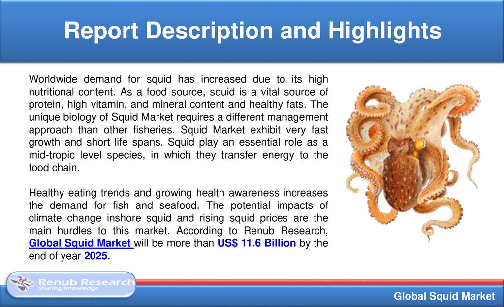 Global Squid Market. - ppt download