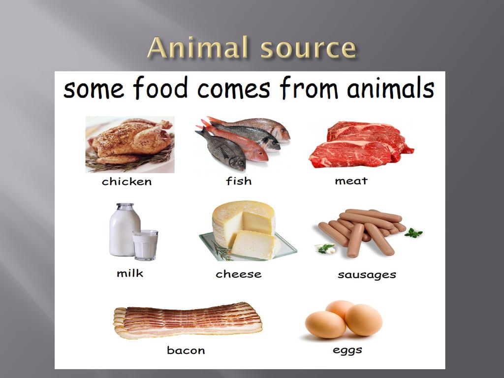 LS-1 FOOD WHERE DOES IT COME FROM? - ppt download