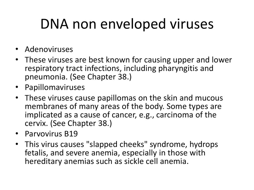 Classification of Medically Important Viruses: Introduction - ppt download