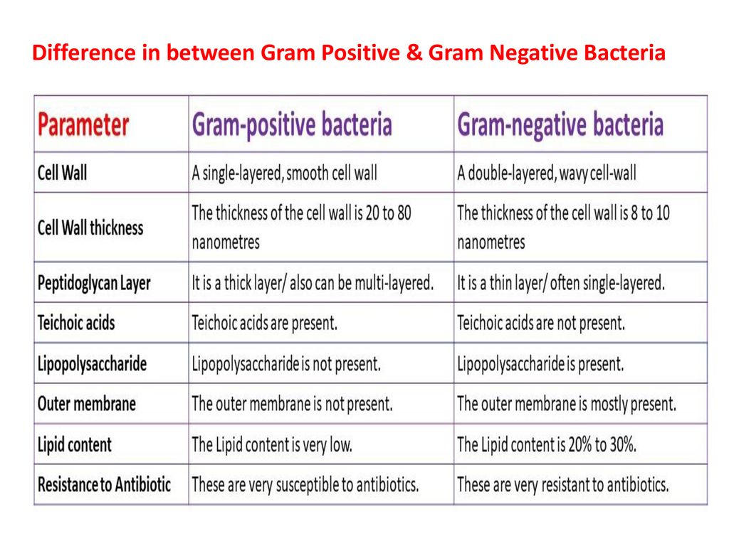 Difference between prokaryotic and eukaryotic cells - ppt download