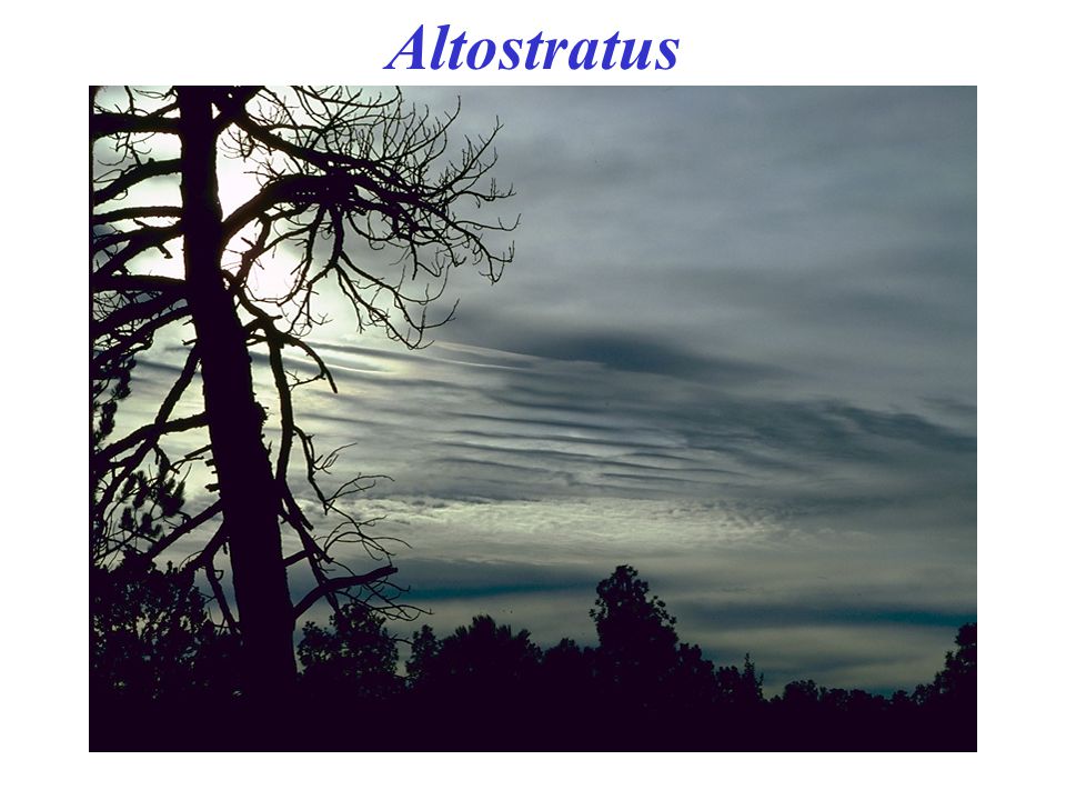 Altostratus