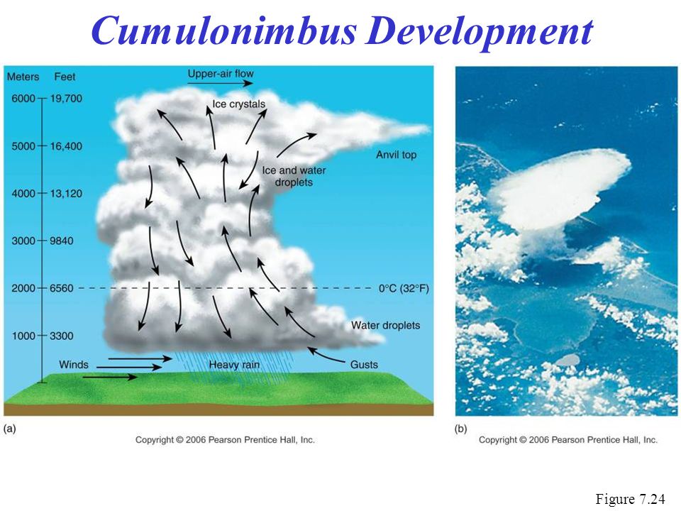 Cumulonimbus Development