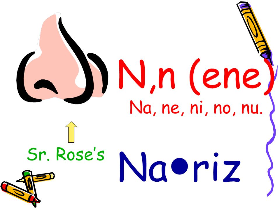 N,n (ene) Na, ne, ni, no, nu. Sr. Rose’s Na●riz