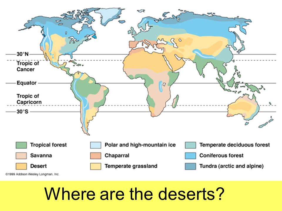 Where are the deserts