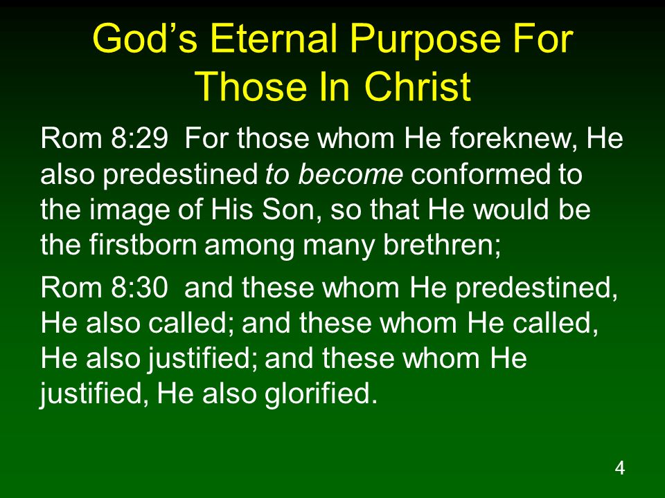 God’s Eternal Purpose For Those In Christ