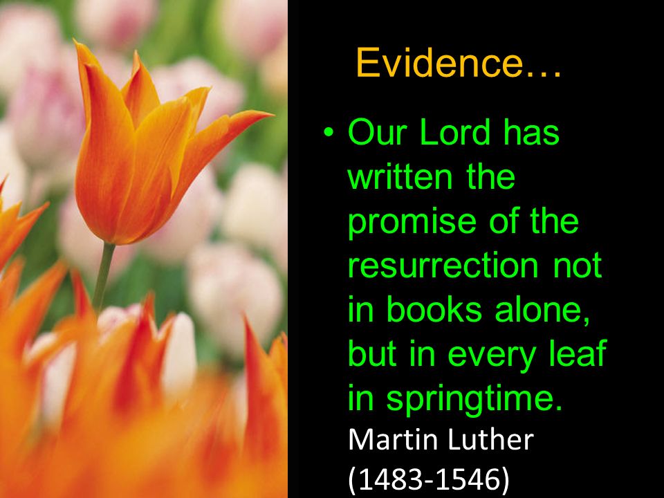 Evidence… Our Lord has written the promise of the resurrection not in books alone, but in every leaf in springtime.