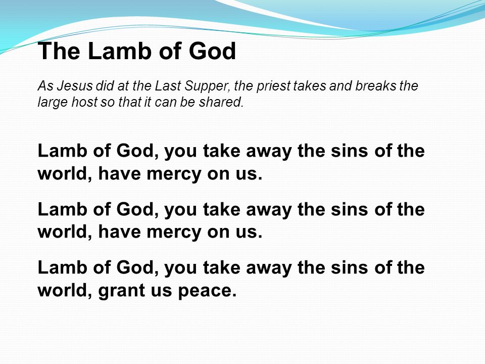 The Lamb of God As Jesus did at the Last Supper, the priest takes and breaks the large host so that it can be shared.