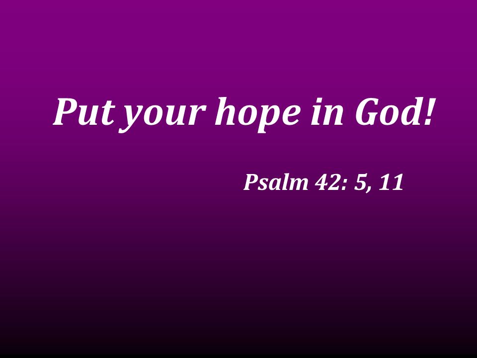 Put your hope in God! Psalm 42: 5, 11