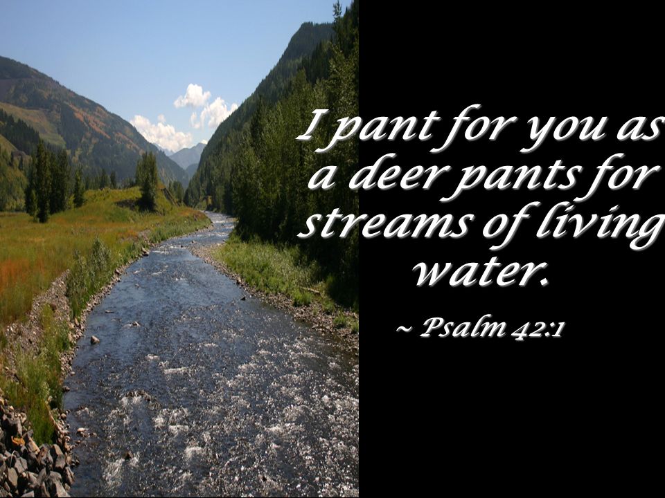 I pant for you as a deer pants for streams of living water.