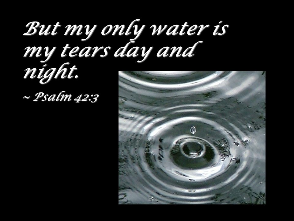 But my only water is my tears day and night.