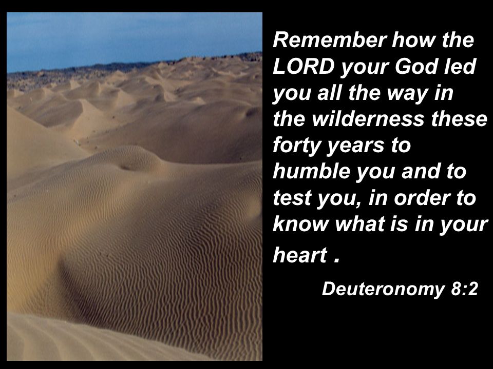 Remember how the LORD your God led you all the way in the wilderness these forty years to humble you and to test you, in order to know what is in your heart .