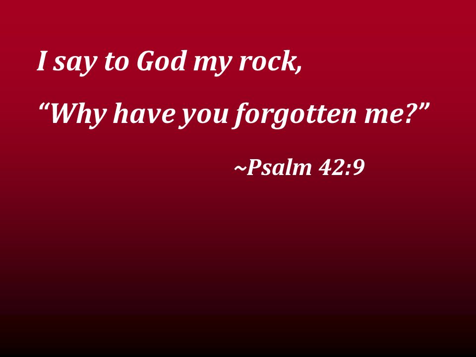 I say to God my rock, Why have you forgotten me ~Psalm 42:9