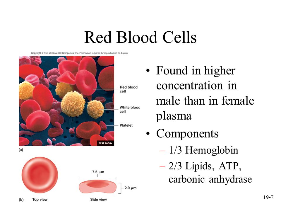 Тест клетки крови. Эритроциты (Red Blood Cells, RBC). Blood Cells эритроциты. Red Blood Cell RBC count. Red Blood Cell structure.