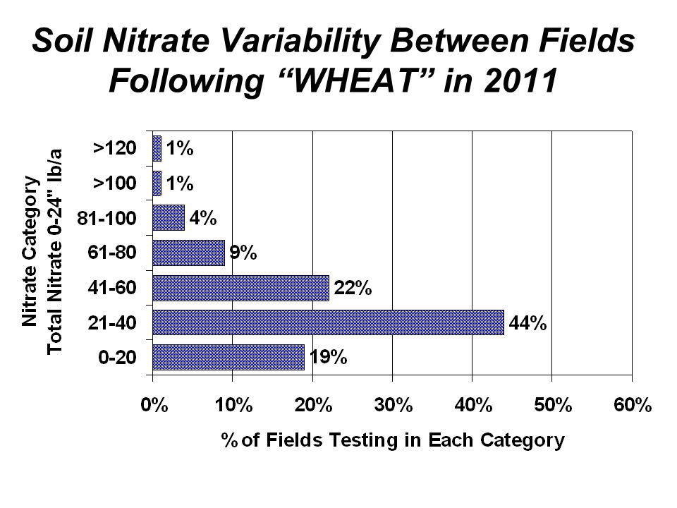Soil Nitrate Variability Between Fields Following WHEAT in 2011