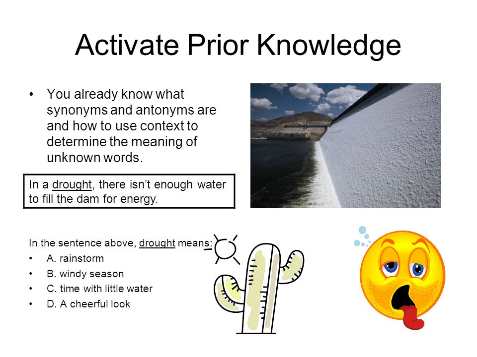 Knowledge Synonyms