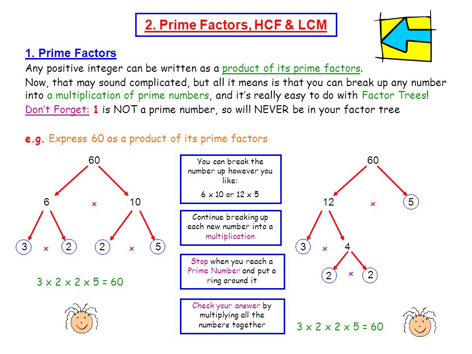2. Prime Factors, HCF & LCM 1. Prime Factors