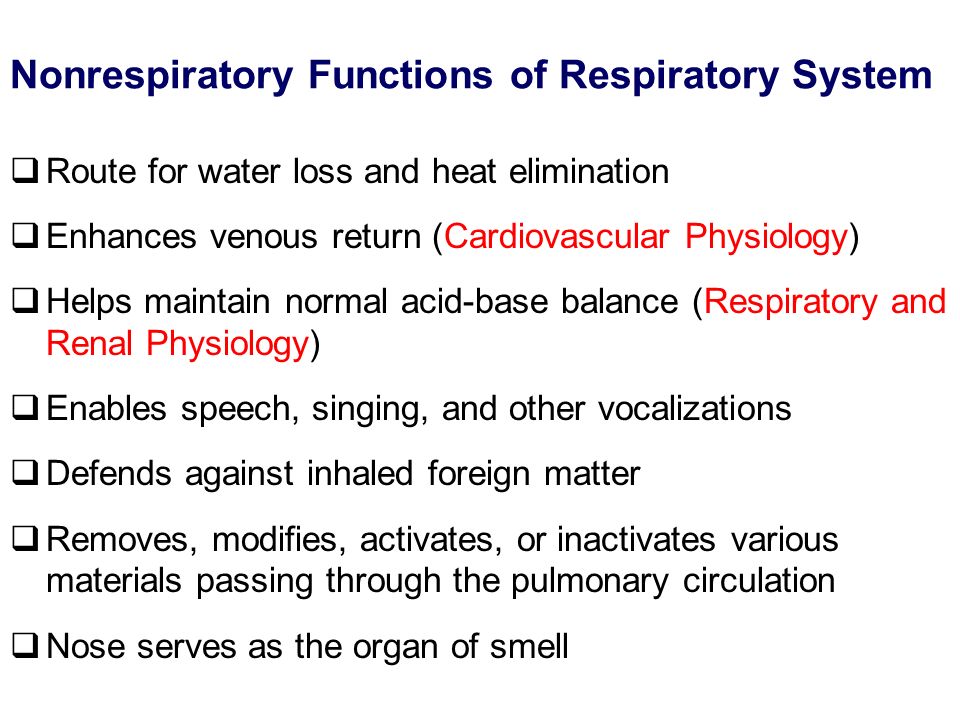 Respiratory Physiology: Gas Exchange - ppt video online download