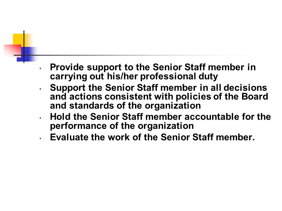 Provide support to the Senior Staff member in carrying out his/her professional duty