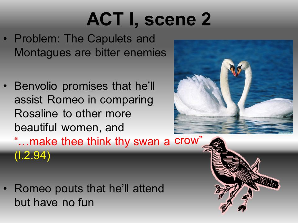 why are the capulets and montagues enemies