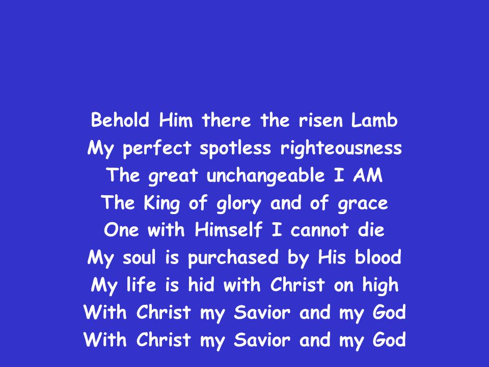 Behold Him there the risen Lamb My perfect spotless righteousness
