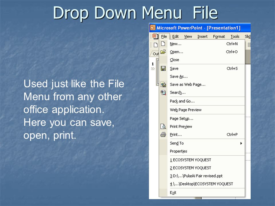 Drop Down Menu File Used just like the File Menu from any other office application.
