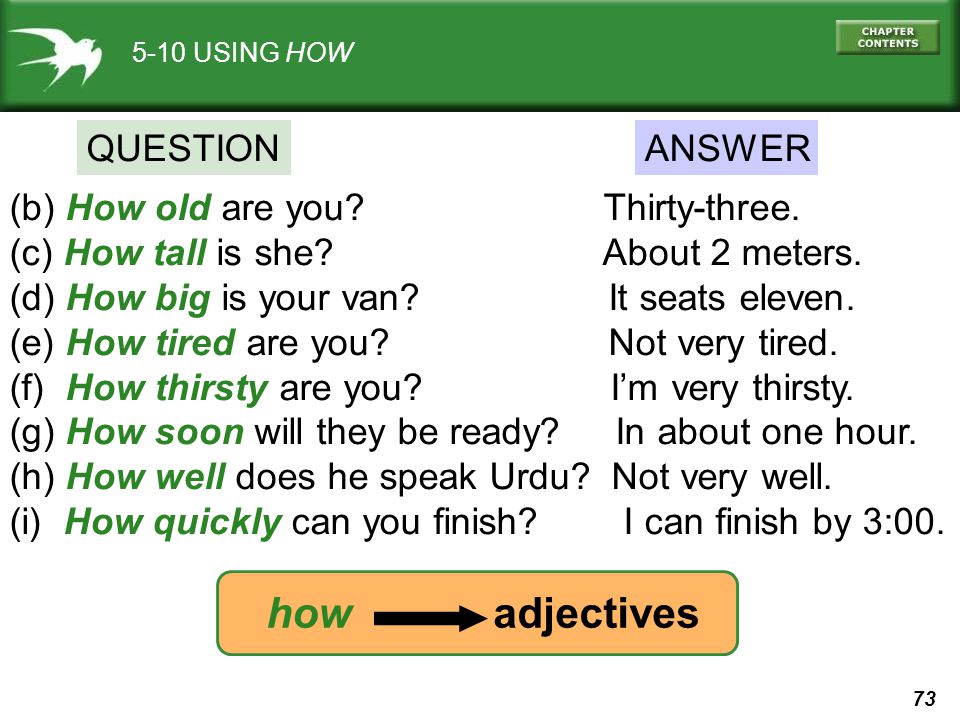 200 Answers To Common English Questions 7 E S L