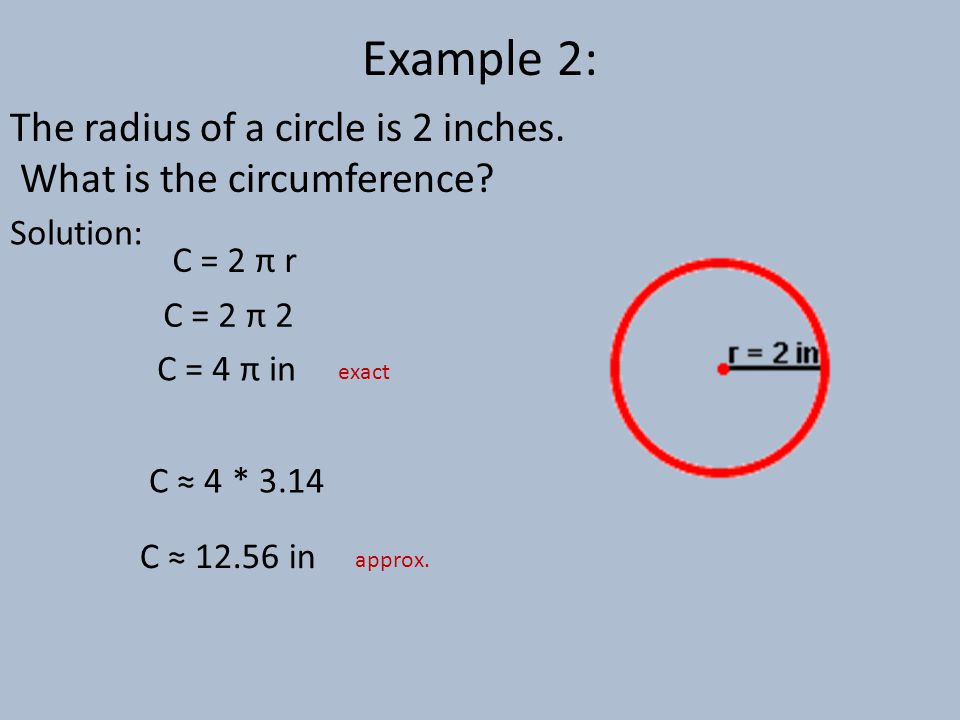 What is the circumference? 