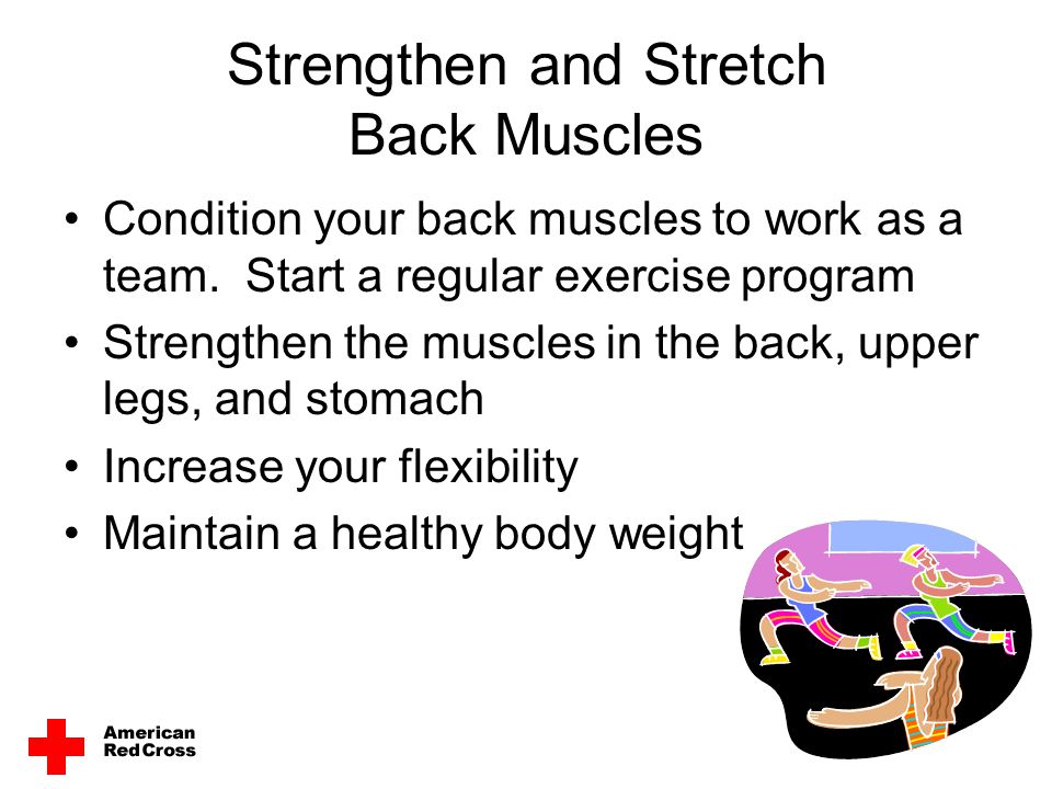 Strengthen and Stretch Back Muscles