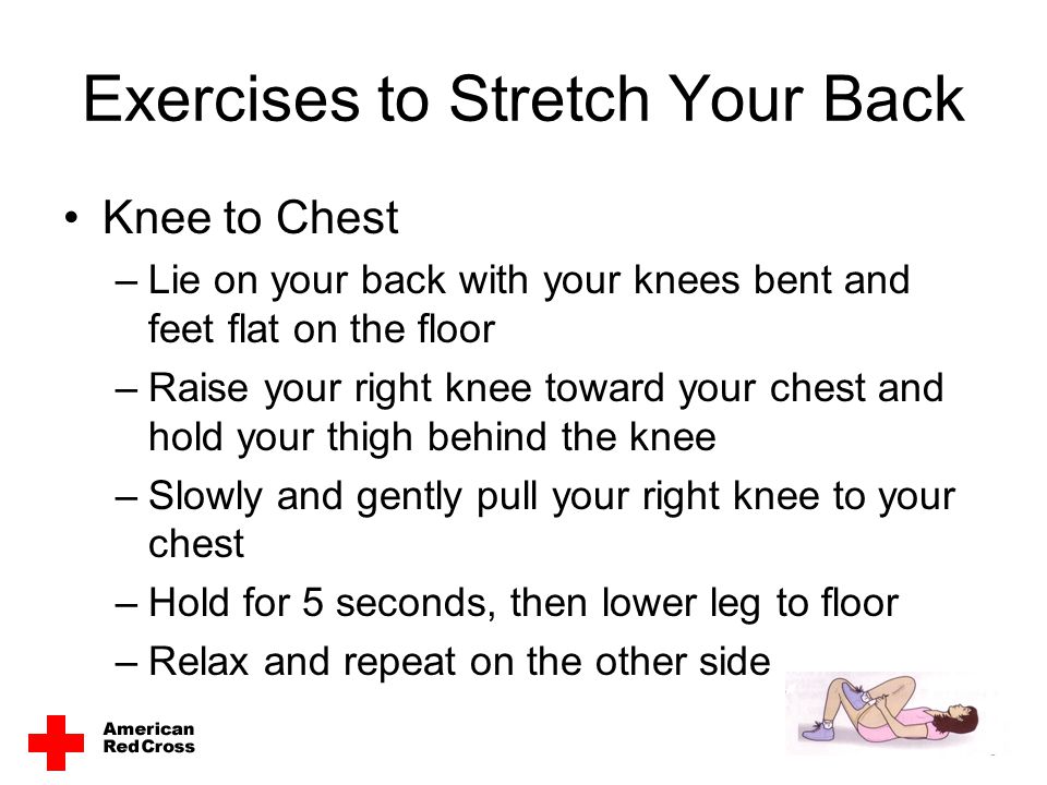 Exercises to Stretch Your Back