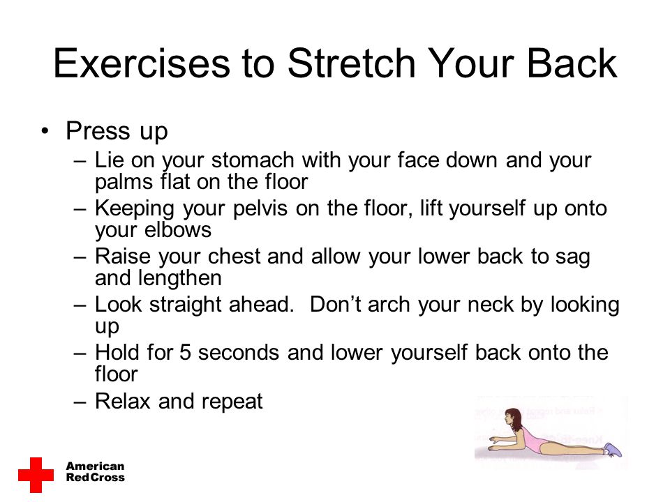 Exercises to Stretch Your Back