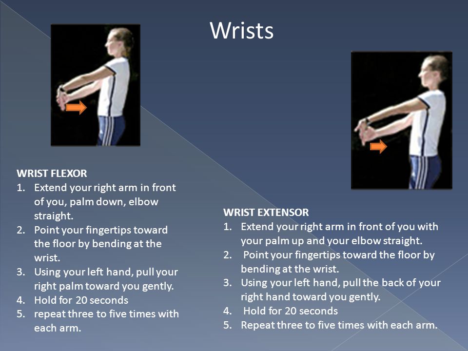 Wrists WRIST FLEXOR. Extend your right arm in front of you, palm down, elbow straight.
