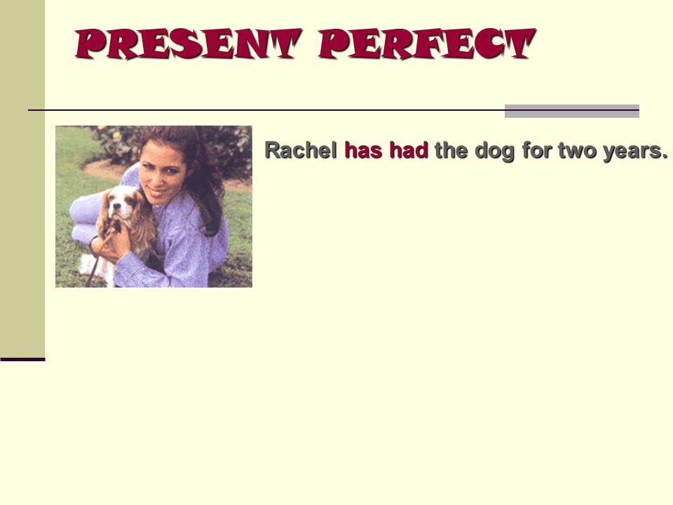 PRESENT PERFECT Rachel has had the dog for two years.