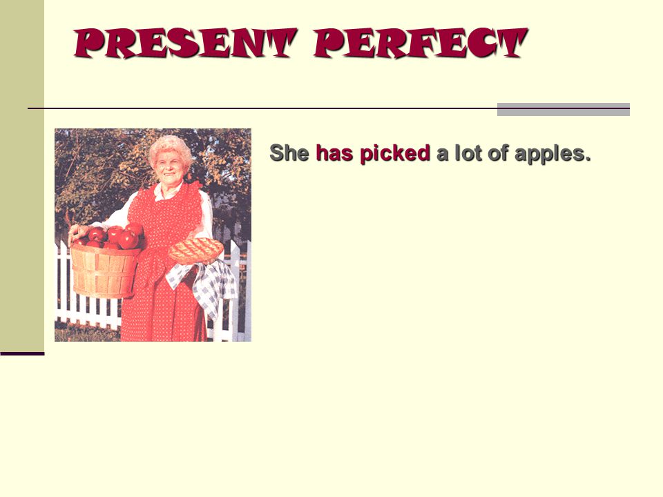 PRESENT PERFECT She has picked a lot of apples.