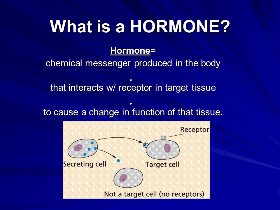 What is a HORMONE? 
