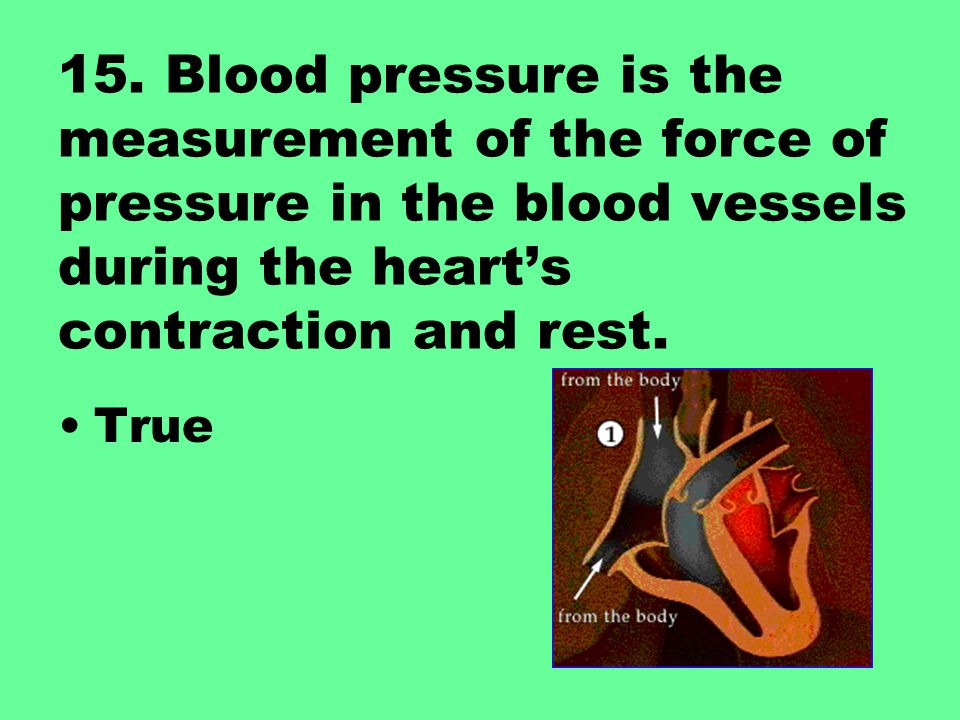 15. Blood pressure is the measurement of the force of pressure in the blood vessels during the heart’s contraction and rest.