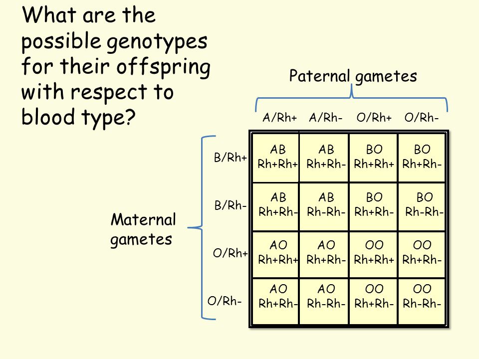 Blood Type Genetics Ppt Video Online Download Blood Type Genetics Ppt Video Online Download