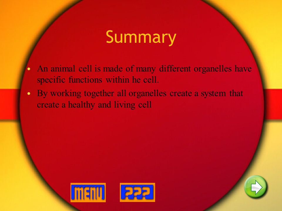Structure of Animal Cells - ppt video online download