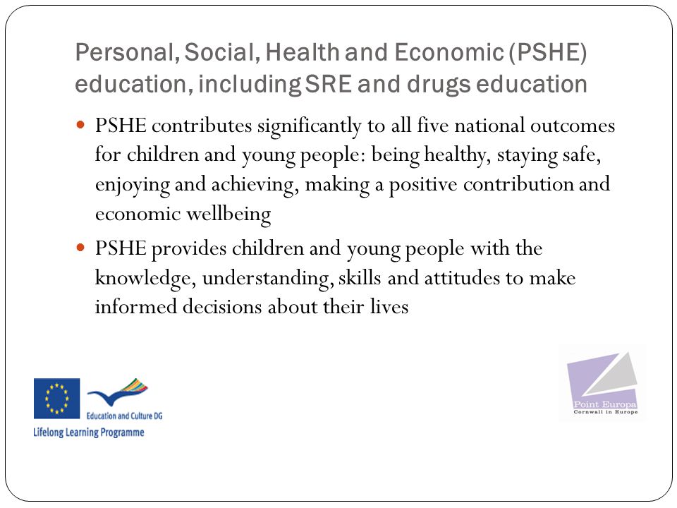 Personal, Social, Health and Economic (PSHE) education, including SRE and drugs education