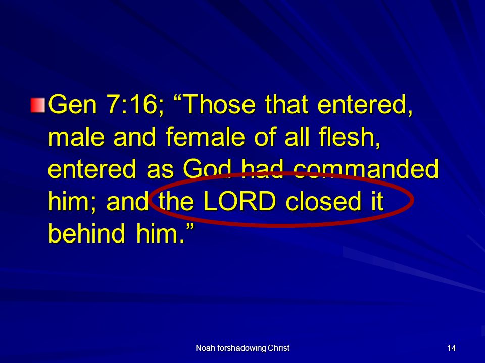 Noah forshadowing Christ