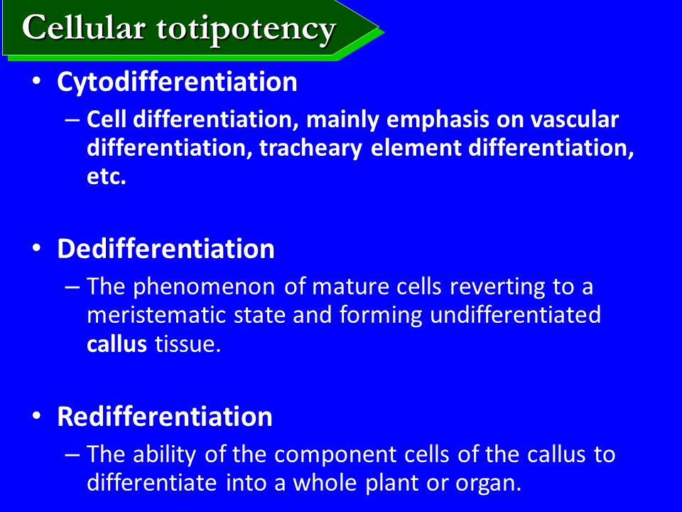 Culture Types Cell-suspension Culture Tissue or Organ Culture - ppt video  online download