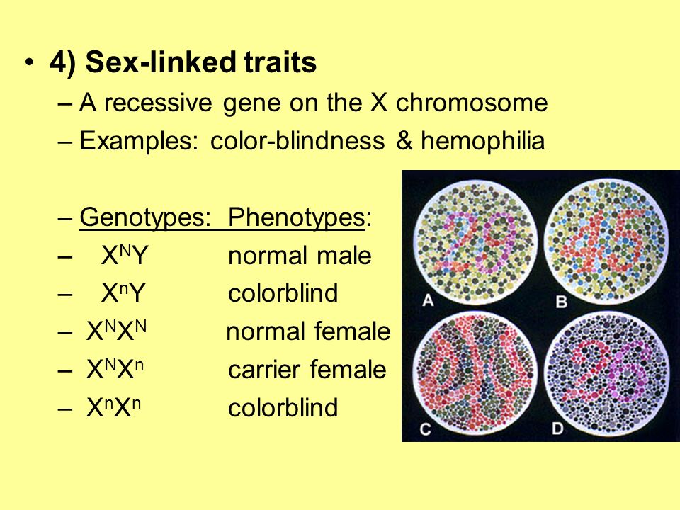 4) Sex-linked traits A recessive gene on the X chromosome.