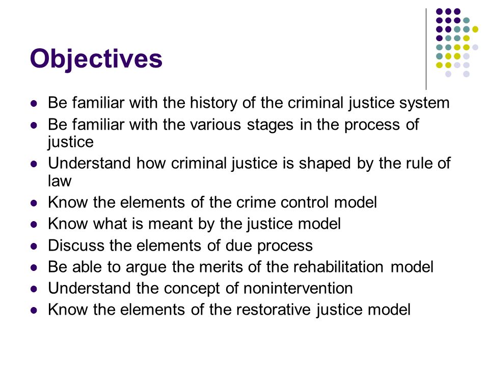 Criminal Justice : Process and Perspectives - ppt video online download