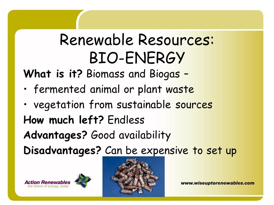Renewable Resources: BIO-ENERGY