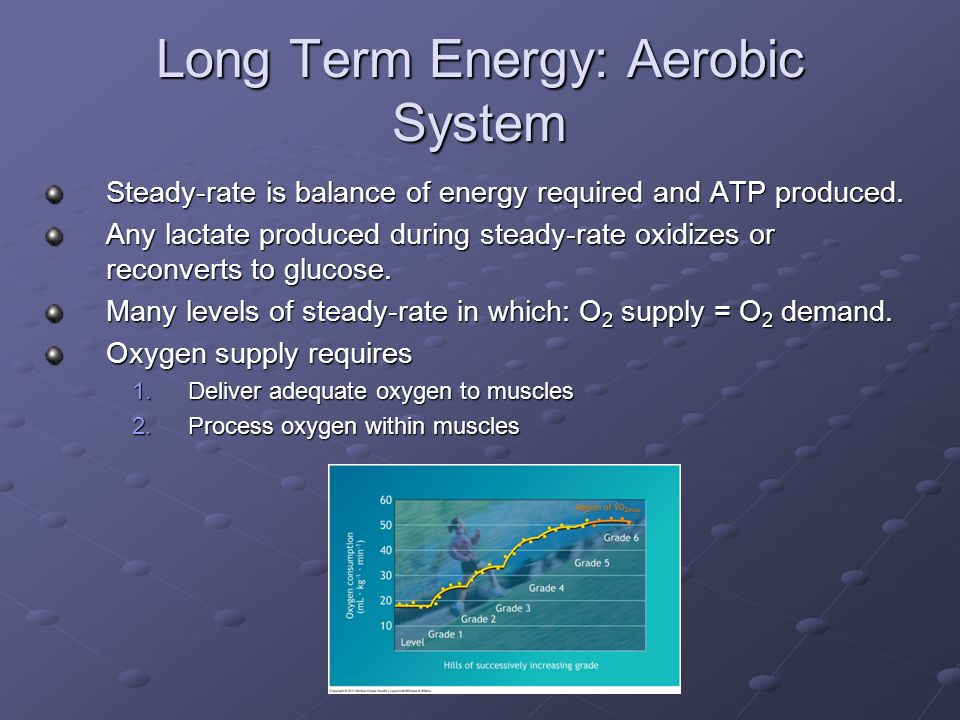 Long Term Energy: Aerobic System