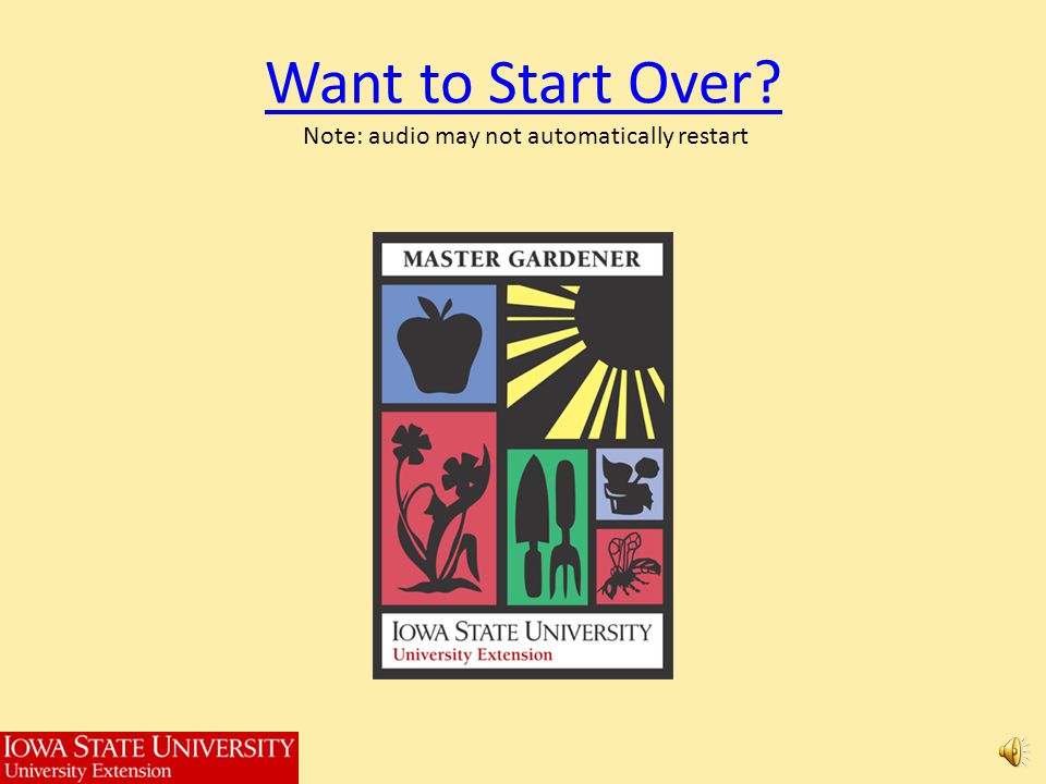 Want to Start Over Note: audio may not automatically restart