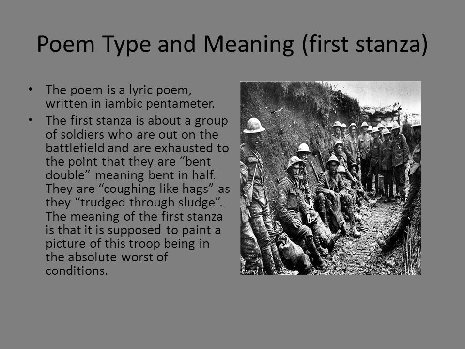 Poem Type and Meaning (first stanza)