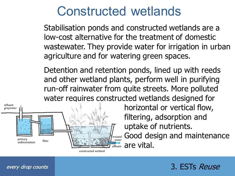 Constructed wetlands