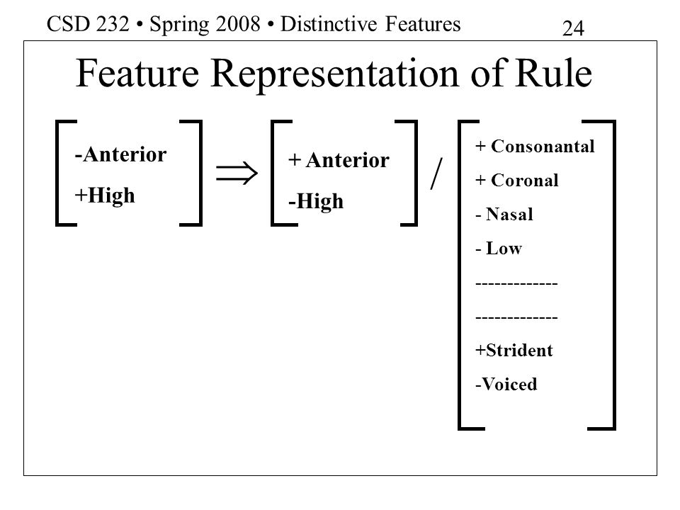 Feature Representation of Rule