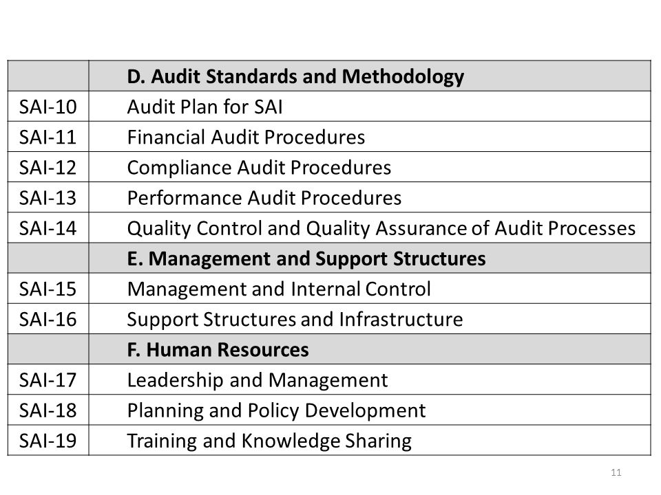 D. Audit Standards and Methodology