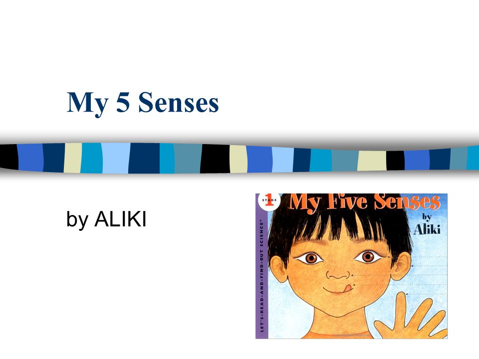 My 5 Senses by ALIKI